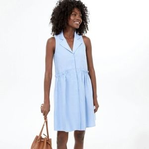 Tuckernuck Royal Blue Oxford Dress Ruffle Sleeveless Cotton Blend Size L NWT